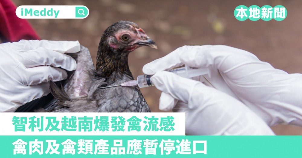 智利及越南爆發禽流感  禽肉及禽類產品應暫停進口