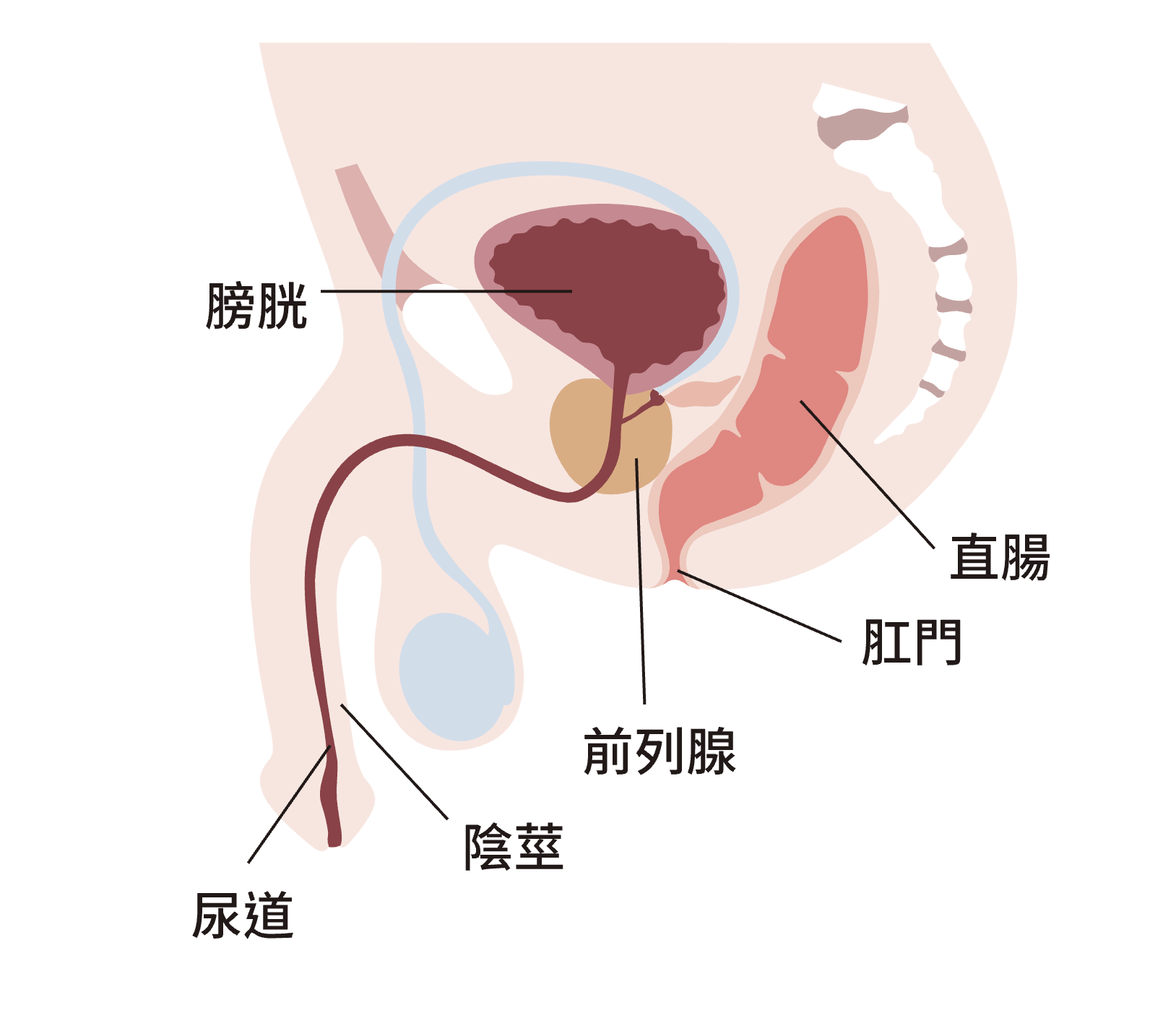 螢幕截圖 2020-11-11 上午11.49.52.png