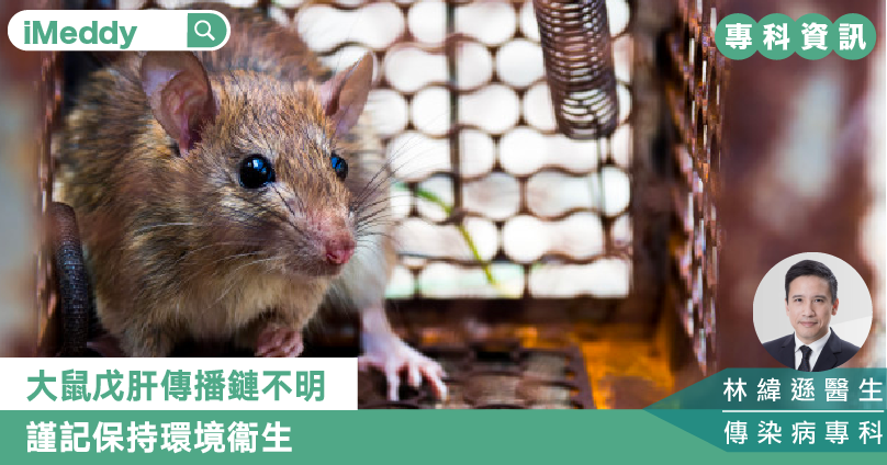 大鼠戊肝傳播鏈不明 謹記保持環境衞生