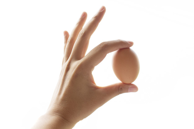 Hand holding egg white background Premium Photo