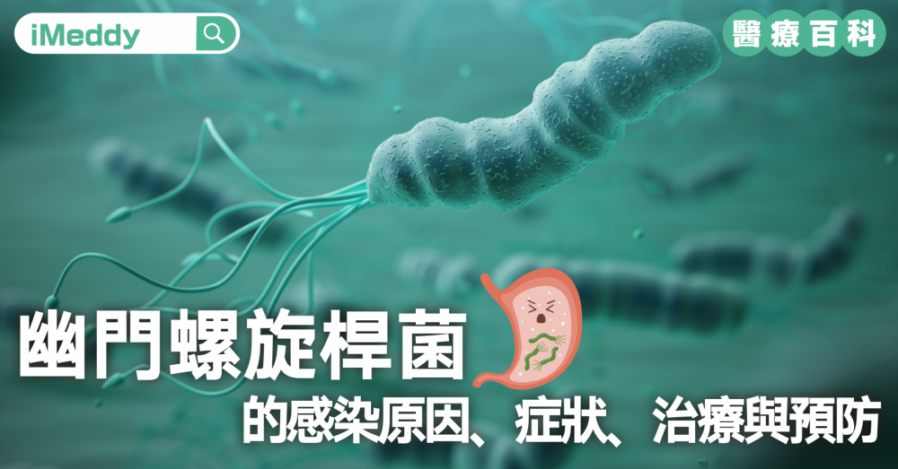 幽門螺旋桿菌的感染原因、症狀、治療與預防